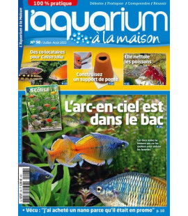 Aquarium à la maison n° 098...