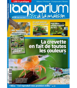 Aquarium à la maison n° 097...