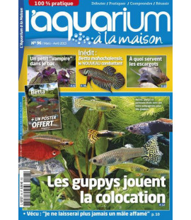 Aquarium à la maison n° 096...