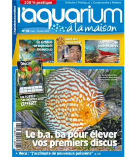 Aquarium à la maison n° 095...
