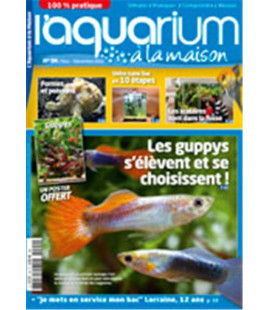 Aquarium à la maison n° 094...