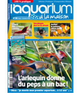 Aquarium à la maison n° 093...