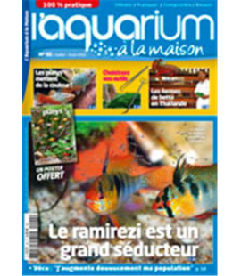 Aquarium à la maison n° 092...