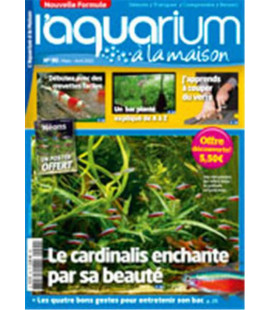 Aquarium à la maison n° 090...