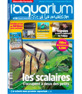 Aquarium à la maison n° 089...