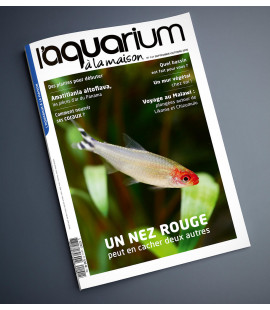 Aquarium à la maison n° 141...