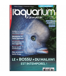 Aquarium à la maison n° 136...