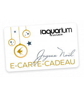 Carte cadeau