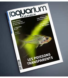 Aquarium à la maison n° 143...