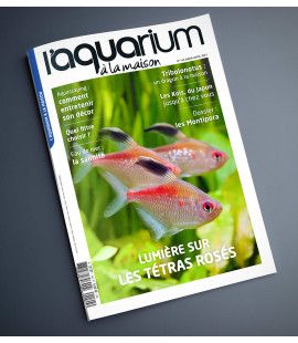 Aquarium à la maison n° 144...