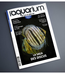 Aquarium à la maison n° 145...