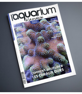 Aquarium à la maison n° 146...