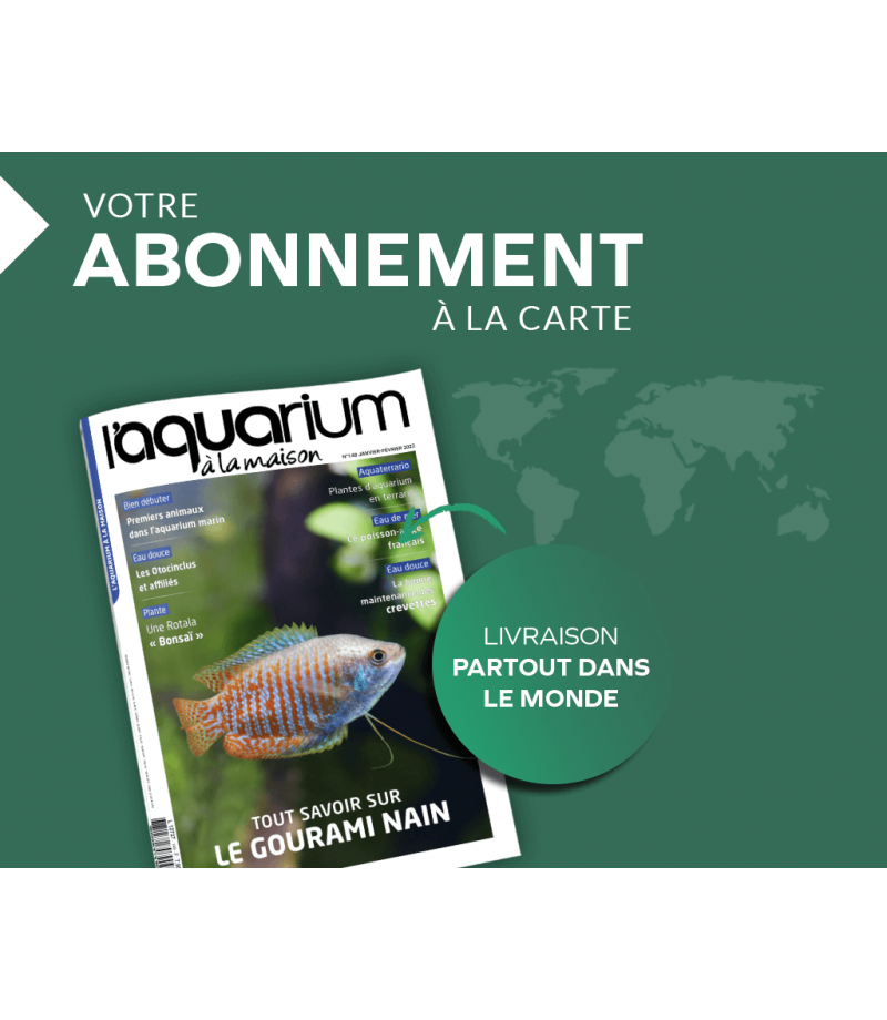 Aquarium à la maison n° 148 Novembre / Décembre 2021