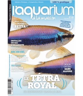 Aquarium à la maison n° 135...