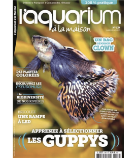 Aquarium à la maison n° 134...