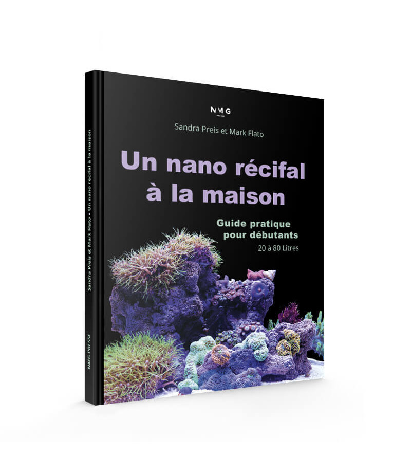 Nos conseils : Découvrir les nano-aquariums