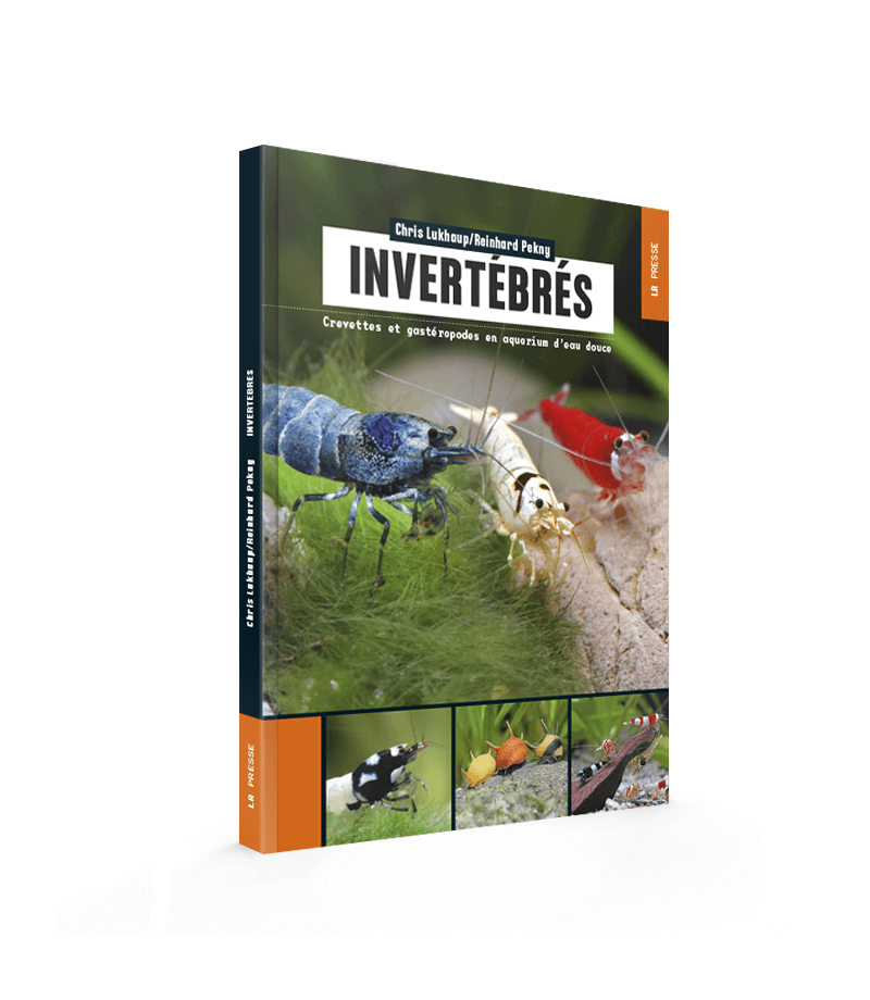 livre illustré invertébrés d'eau douce livre illustré invertébrés d'eau douce