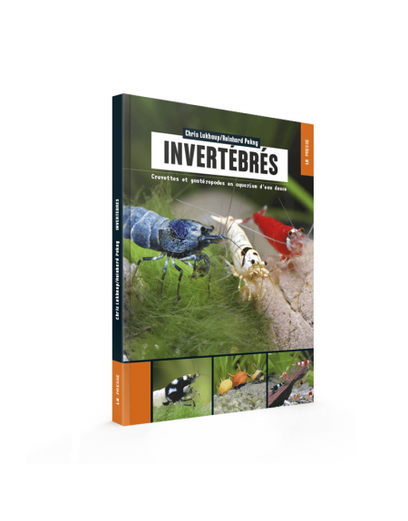 livre illustré invertébrés d'eau douce