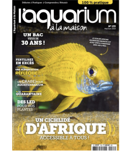 Aquarium à la maison n° 133...