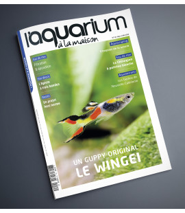 Aquarium à la maison n° 151...