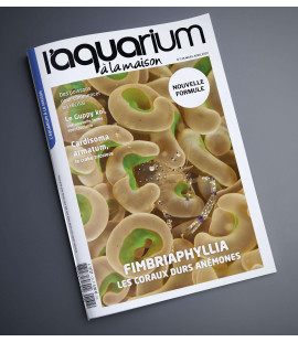 Aquarium à la maison n° 138...