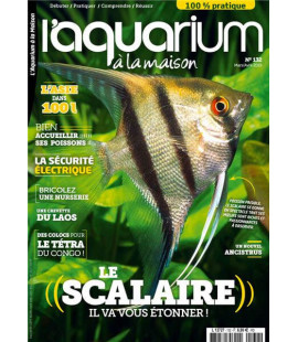 Aquarium à la maison n° 132...