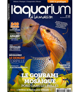 Aquarium à la maison n° 130...