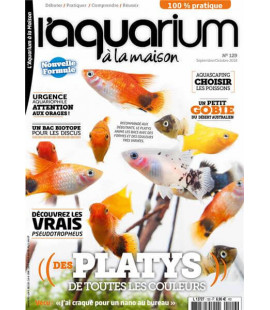 Aquarium à la maison n° 129...