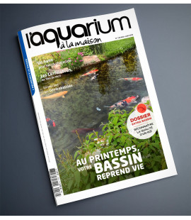 Aquarium à la maison n° 139...