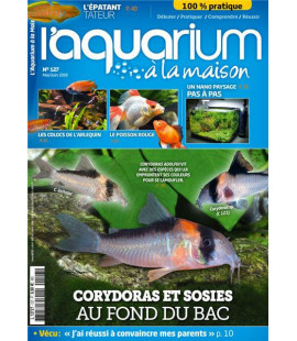 Aquarium à la maison n° 127...