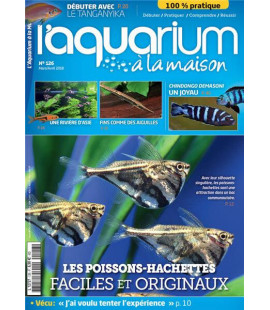 Aquarium à la maison n° 126...