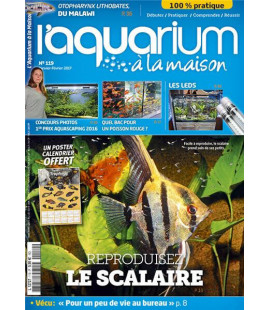 Aquarium à la maison n° 119...