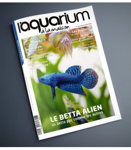 Aquarium à la maison n° 140...