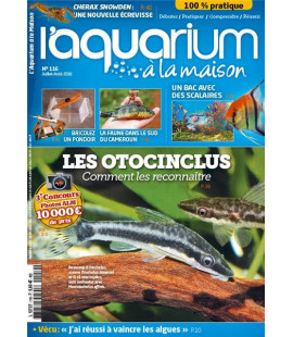 Aquarium à la maison n° 116...