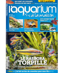 Aquarium à la maison n° 115...