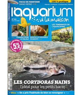 Aquarium à la maison n° 114...