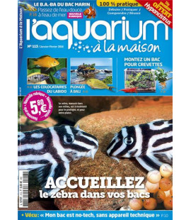 Aquarium à la maison n° 113...