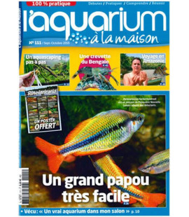 Aquarium à la maison n° 111...