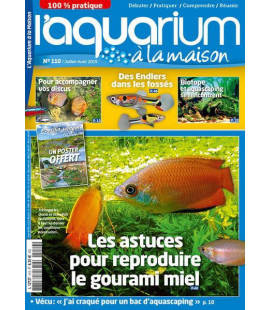 Aquarium à la maison n° 110...