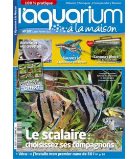 Aquarium à la maison n° 107...