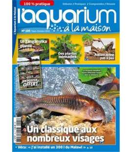 Aquarium à la maison n° 105...