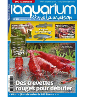 Aquarium à la maison n° 104...