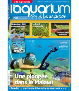 Aquarium à la maison n° 103...