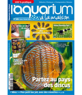 Aquarium à la maison n° 101...