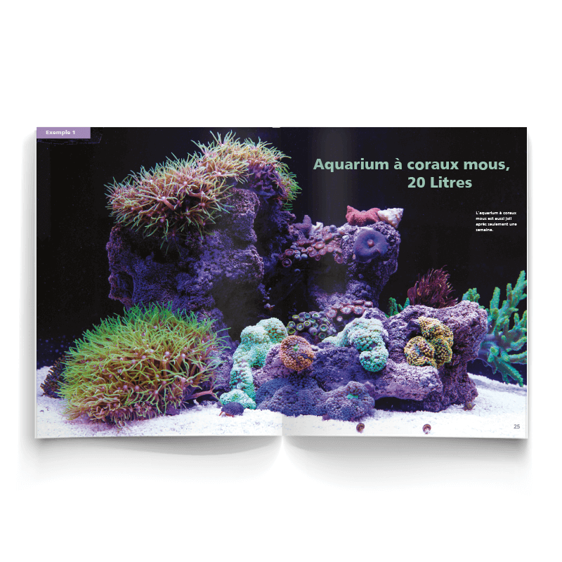 Brochure du débutant en aquariophilie
