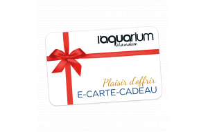 
			                        			plaisir d'offrir