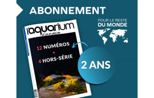 
			                        			Abonnement monde 2ans