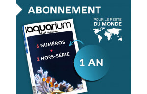 
			                        			Abonnement Monde 1an