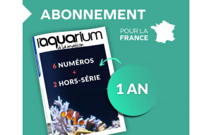 
			                        			Abonnement France 1an