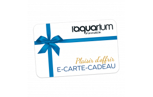 
			                        			plaisir d'offrir